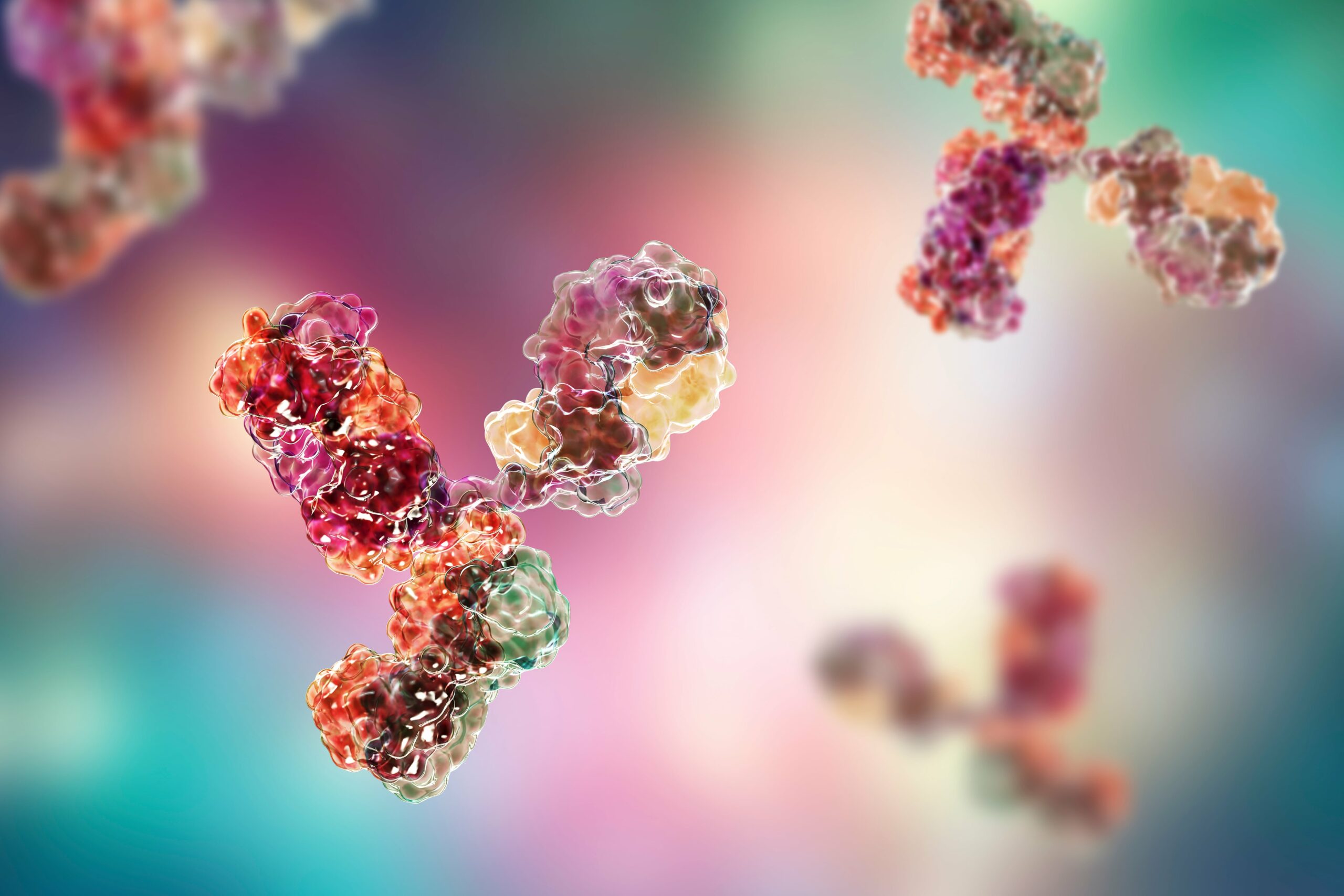 How Acai helps your immune system