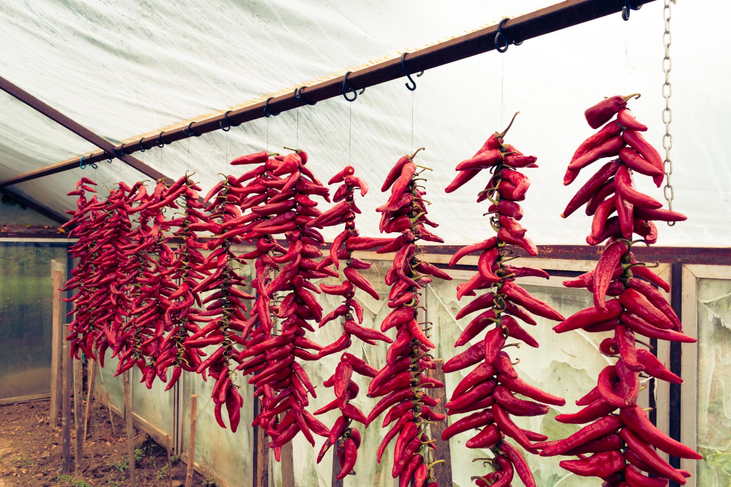 cayenne pepper